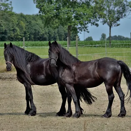 לינה וארוחת בוקר Bed And Breakfast Wouw Wouw