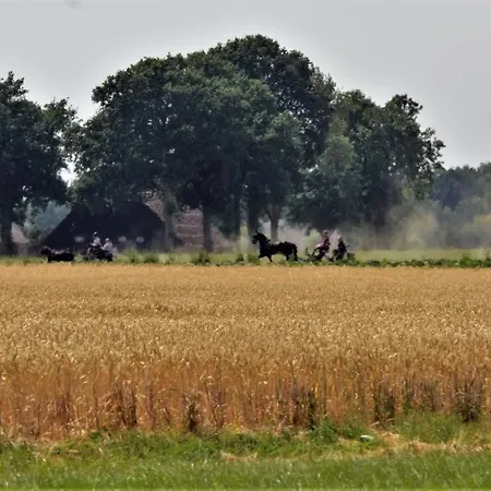 Bed And Breakfast Wouw 3*