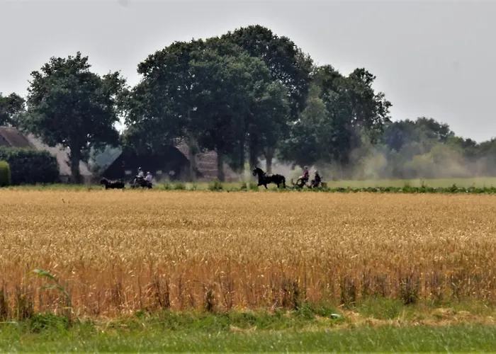 Bed And Breakfast Wouw 3*