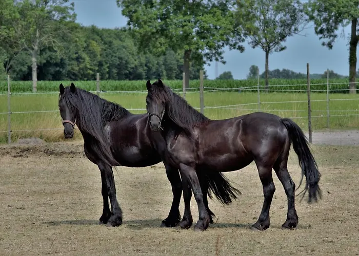 Bed & Breakfast Bed And Breakfast Wouw Wouw